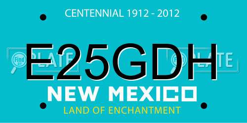 E25GDH New Mexico License Plate