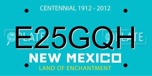 E25GQH New Mexico License Plate