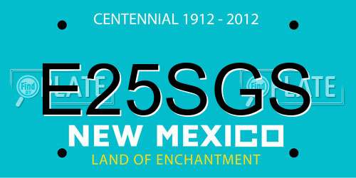 E25SGS New Mexico License Plate