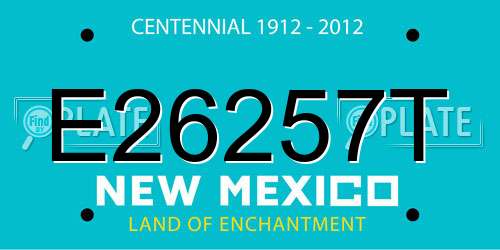 E26257T New Mexico License Plate