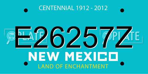 E26257Z New Mexico License Plate