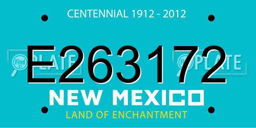 E263172 New Mexico License Plate