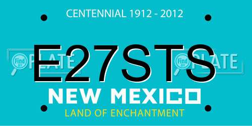 E27STS New Mexico License Plate