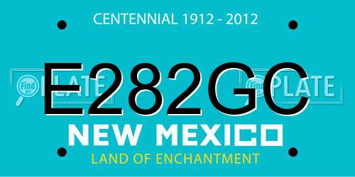 E282GC New Mexico License Plate