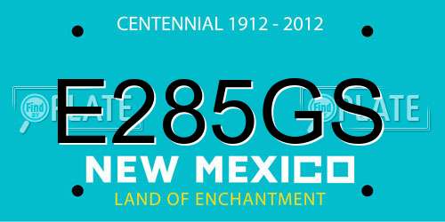 E285GS New Mexico License Plate