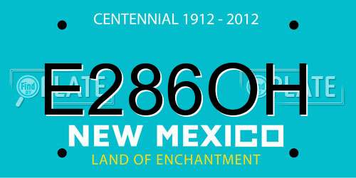 E286OH New Mexico License Plate
