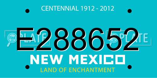E288652 New Mexico License Plate