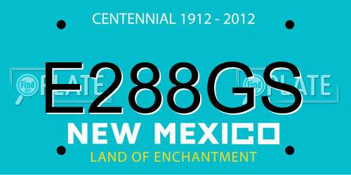 E288GS New Mexico License Plate