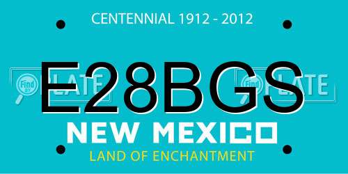 E28BGS New Mexico License Plate