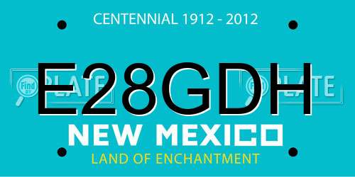 E28GDH New Mexico License Plate