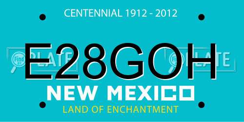 E28GOH New Mexico License Plate