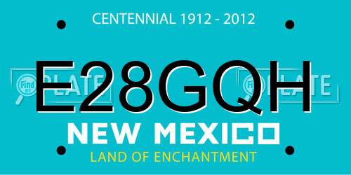 E28GQH New Mexico License Plate