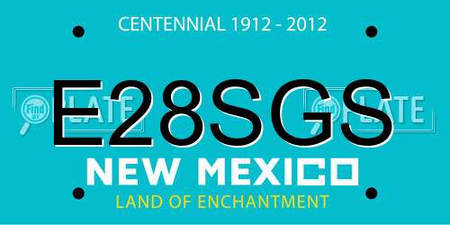 E28SGS New Mexico License Plate