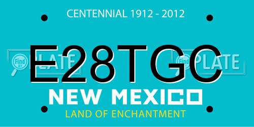 E28TGC New Mexico License Plate
