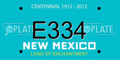E334 New Mexico License Plate