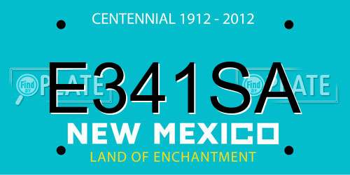 E341SA New Mexico License Plate