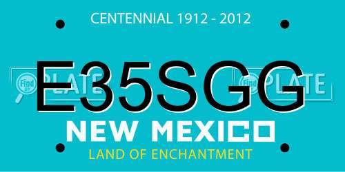 E35SGG New Mexico License Plate