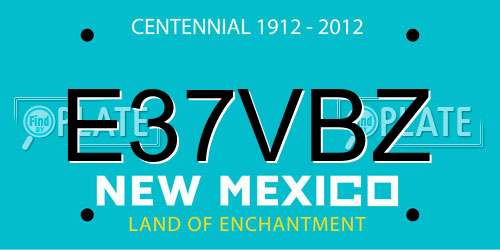 E37VBZ New Mexico License Plate
