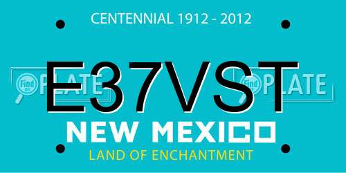 E37VST New Mexico License Plate