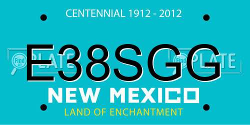 E38SGG New Mexico License Plate