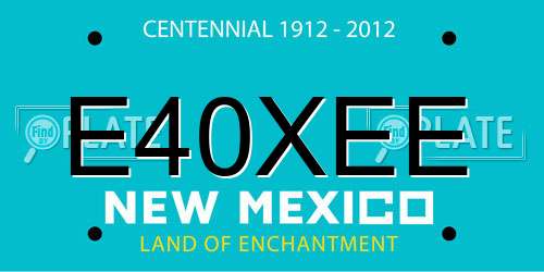 E40XEE New Mexico License Plate