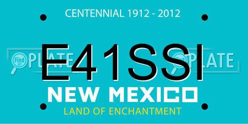 E41SSI New Mexico License Plate