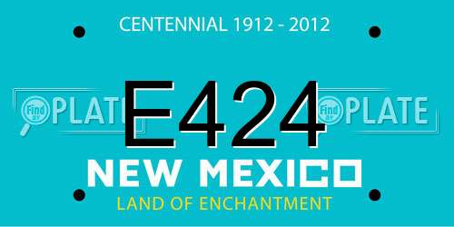 E424 New Mexico License Plate