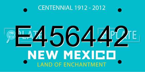 E456442 New Mexico License Plate