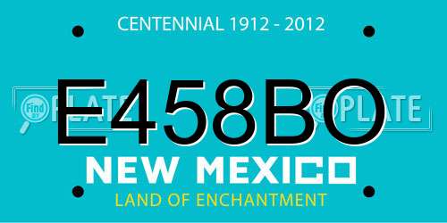 E458BO New Mexico License Plate