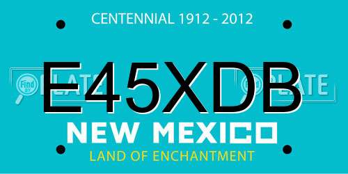 E45XDB New Mexico License Plate