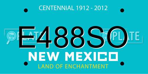 E488SO New Mexico License Plate