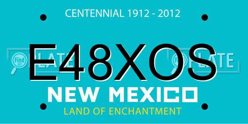 E48XOS New Mexico License Plate