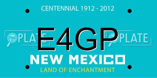 E4GP New Mexico License Plate
