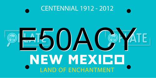 E50ACY New Mexico License Plate