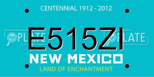 E515ZI New Mexico License Plate
