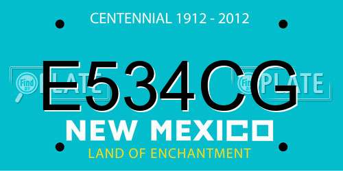E534CG New Mexico License Plate