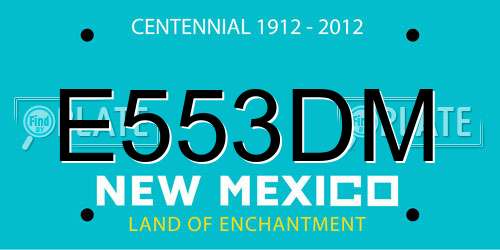 E553DM New Mexico License Plate