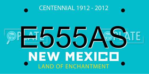 E555AS New Mexico License Plate