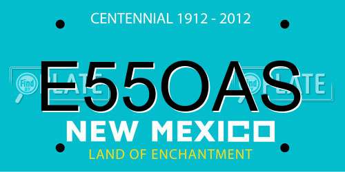 E55OAS New Mexico License Plate