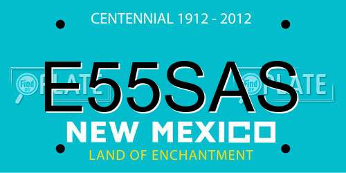 E55SAS New Mexico License Plate