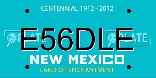 E56DLE New Mexico License Plate