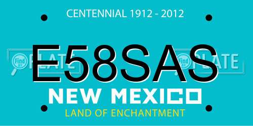 E58SAS New Mexico License Plate