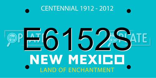 E6152S New Mexico License Plate