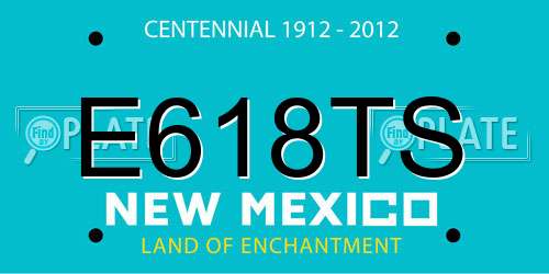 E618TS New Mexico License Plate