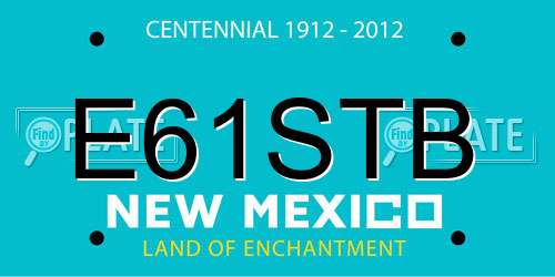 E61STB New Mexico License Plate