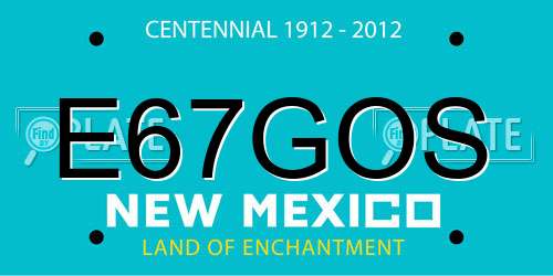 E67GOS New Mexico License Plate