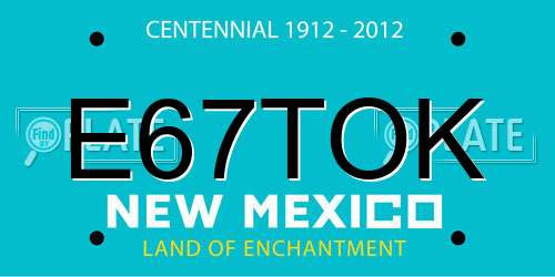 E67TOK New Mexico License Plate