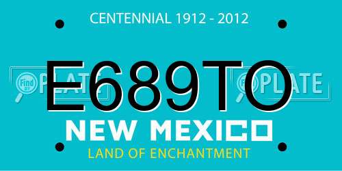 E689TO New Mexico License Plate