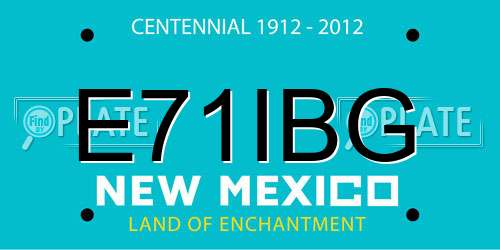E71IBG New Mexico License Plate