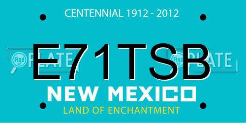 E71TSB New Mexico License Plate